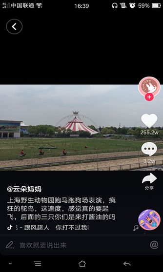 抖音骑鸵鸟赛跑背景音乐是什么？抖音哈哈哈哈你打不过我吧歌曲介绍