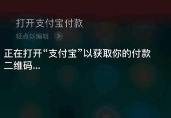 iPhone支付宝语音付款是真吗_iPhone支付宝语音付款怎么弄