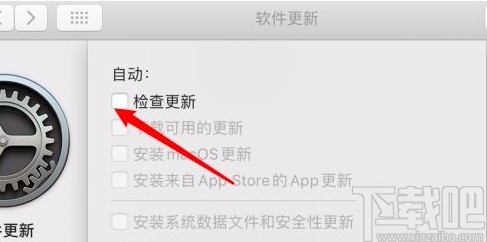macOS系统设置自动检查更新的方法
