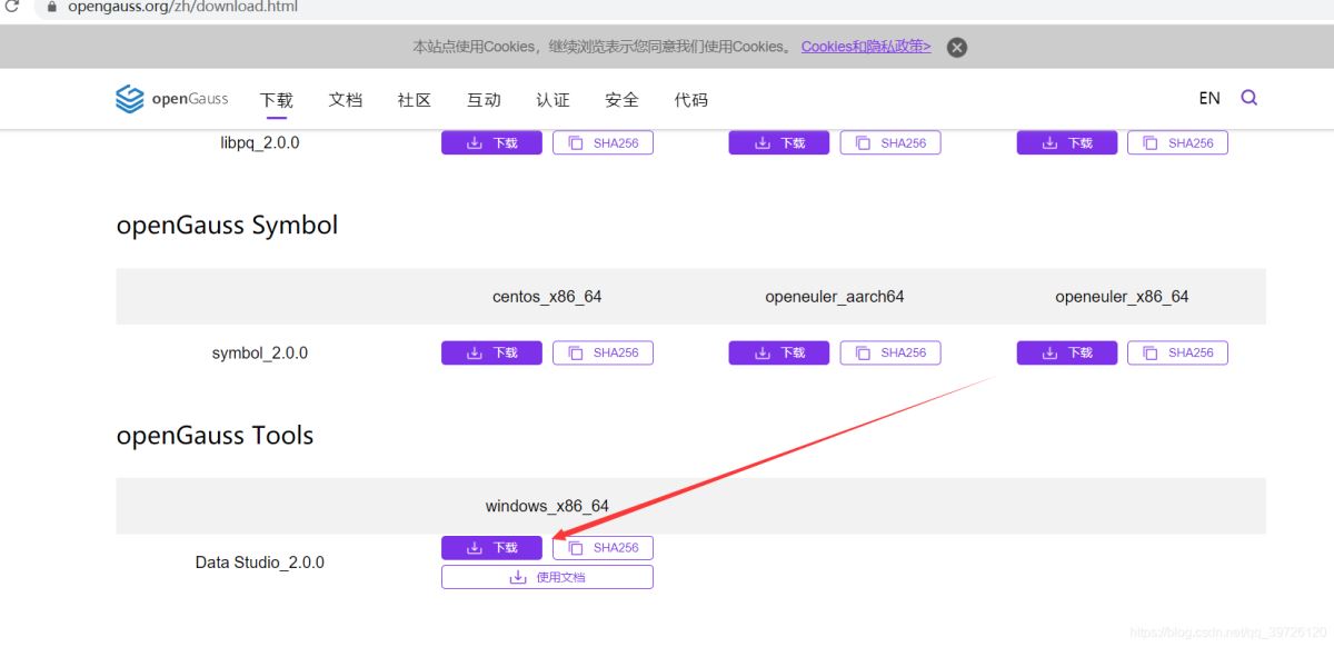 gaussdb 200安装 data studio jdbc idea链接保姆级安装步骤