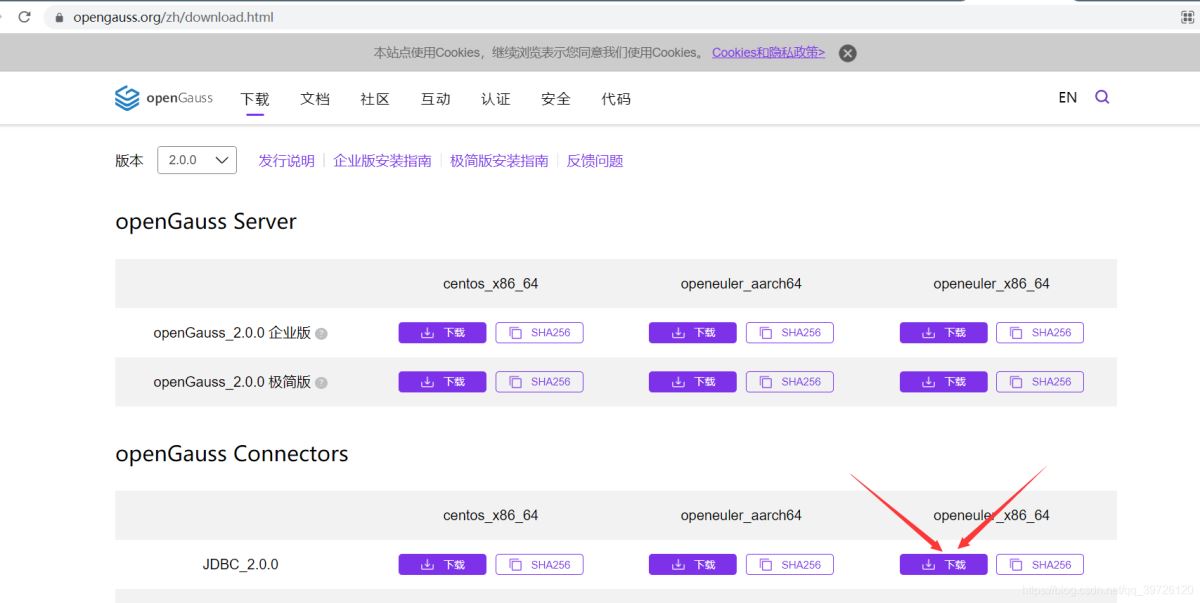 gaussdb 200安装 data studio jdbc idea链接保姆级安装步骤