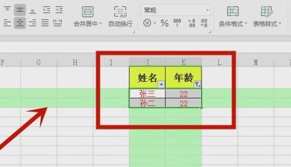 excel筛选出自己想要的数据方法