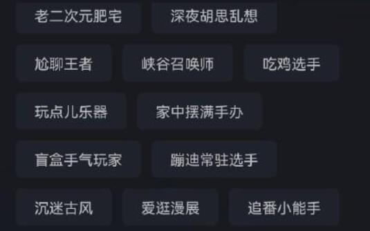 qq结伴测试版介绍