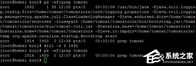 Linux系统如何查看和结束进程？