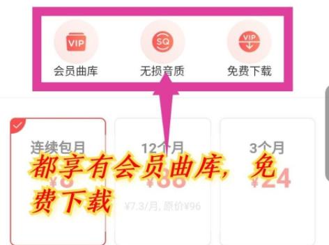 网易云音乐vip和黑胶vip区别是什么详细介绍