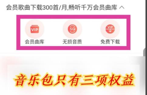 网易云音乐vip和黑胶vip区别是什么详细介绍