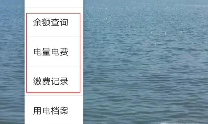 每日每月电费明细怎查询，微信怎么查每天用电量