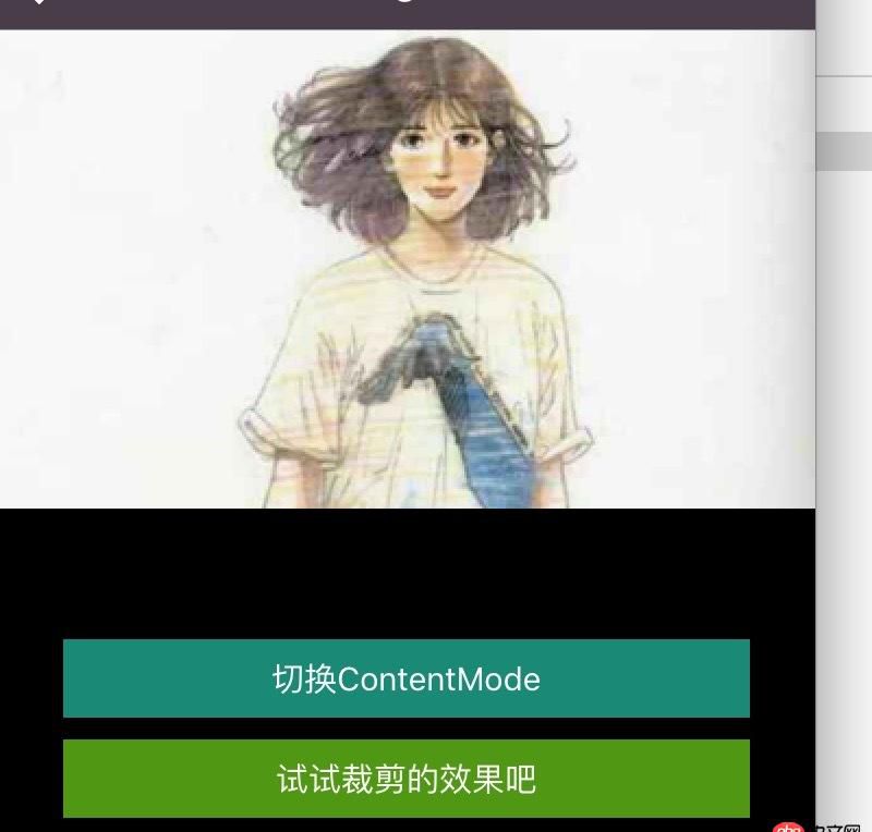 objective-c - SDWebImage加载的网络图片，如何调整显示图片的尺寸