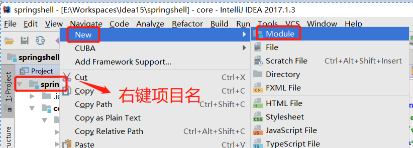 基于IDEA建立module操作步骤解析