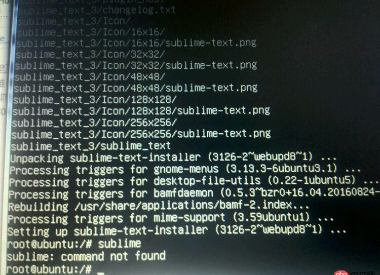 ubuntu如何启动sublime