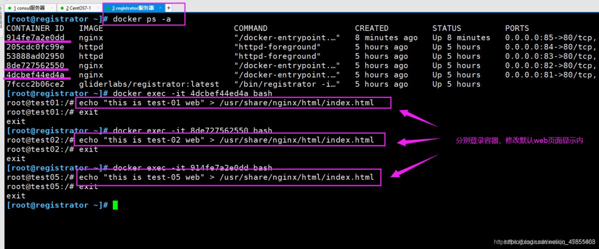 Docker consul的容器服务更新与发现的问题小结