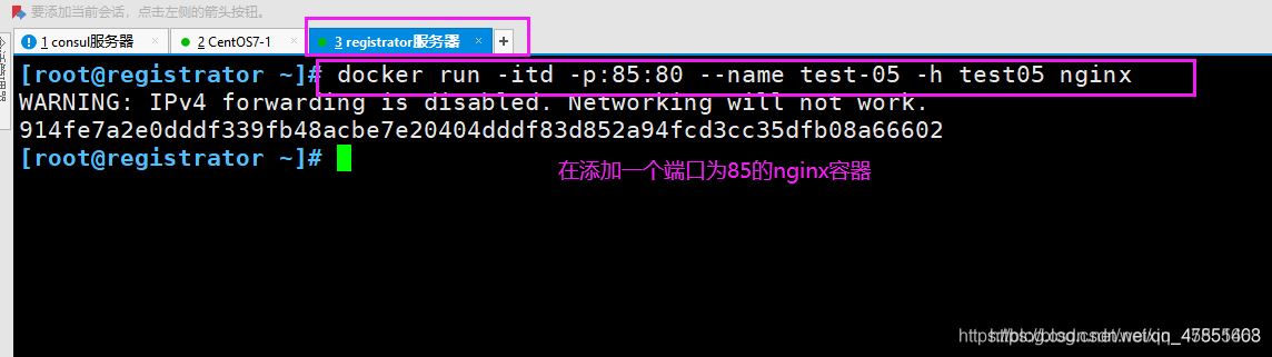 Docker consul的容器服务更新与发现的问题小结