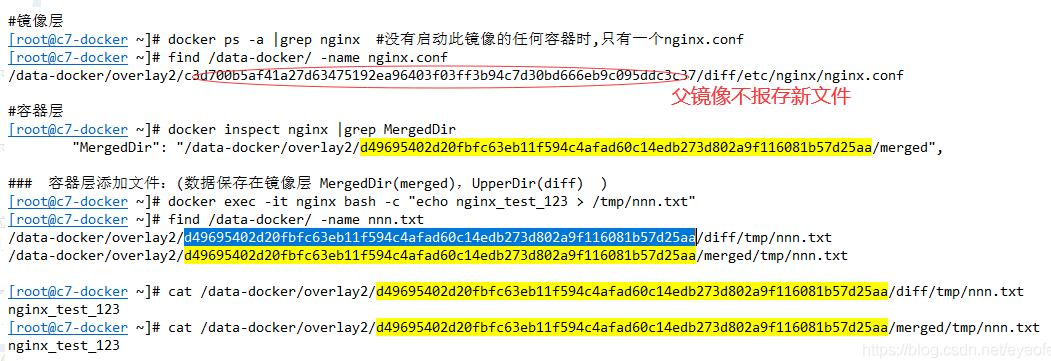 docker 文件存放路径, 修改端口映射操作方式