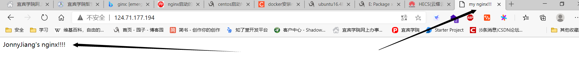 docker容器中布置静态网站的实现