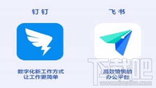 飞书和钉钉哪个好用？飞书与钉钉区别对比