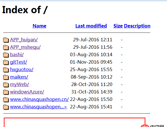 index of显示apache和php版本信息