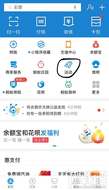 支付宝运动卡币怎么兑换运动保险？