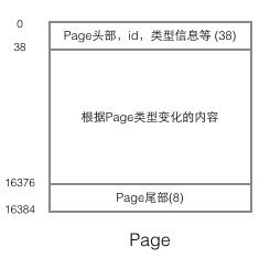 MySQL的InnoDB索引原理详解