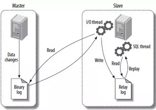 详解用Docker构建MySQL主从环境