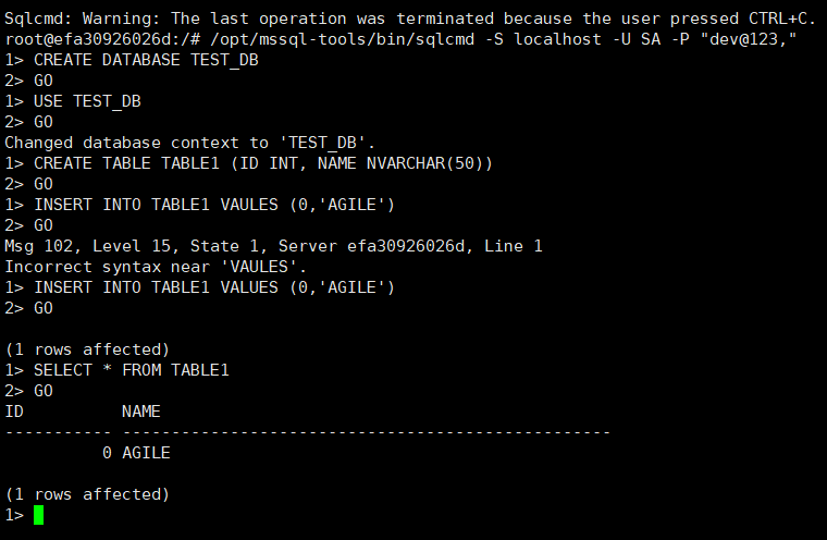 使用Docker运行SQL Server的实现