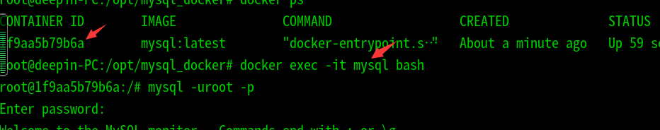 Deepin使用docker安装mysql数据库过程详解