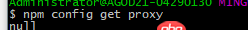 node.js - npm一直提示proxy有问题