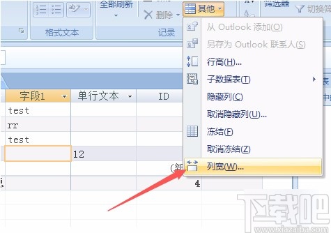 Microsoft Office Access调整列宽的方法