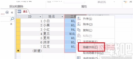 Microsoft Office Access隐藏和显示字段的方法