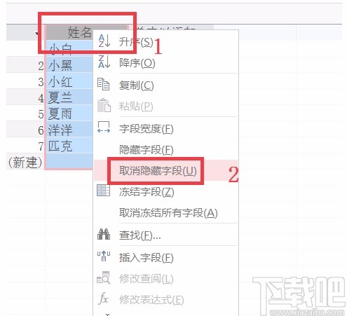 Microsoft Office Access隐藏和显示字段的方法