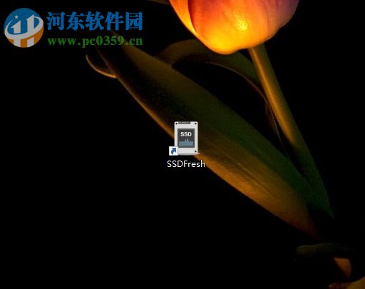 SSD Fresh 2018的使用方法