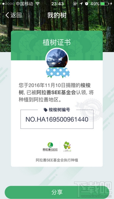 支付宝的蚂蚁森林有能量真的会种树吗