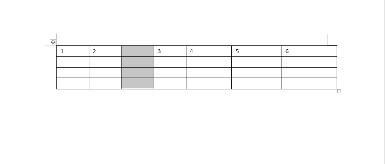 WORD2019怎么在右侧插入一行