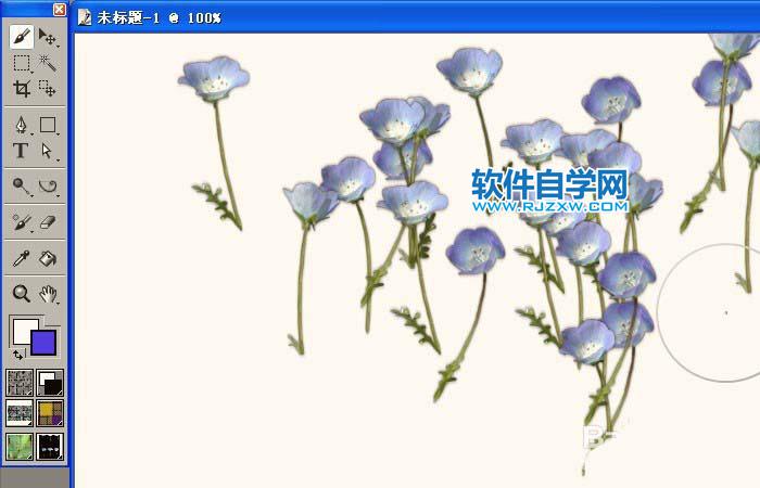 painter怎么使用竖型花草喷图