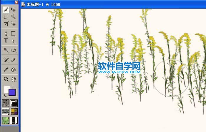 painter怎么使用竖型花草喷图