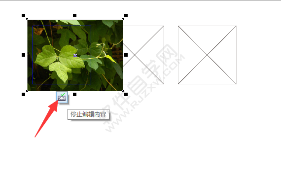 cdr怎样排版图片