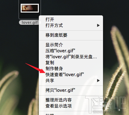 Mac怎么查看gif图片？Mac系统怎么查看gif图片？