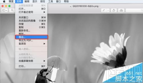mac系统中怎么用自带的预览工具将图片变成黑白色？