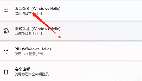 win11面部识别怎么设置