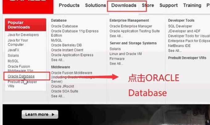 Windows系统中如何安装Oracle数据库