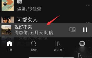 spotify看歌词详细方法