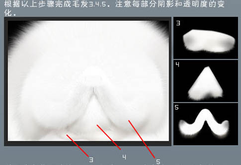 PS手绘猫头像