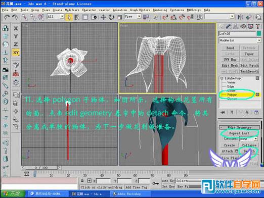 3dmax玫瑰花模型 制作讲解