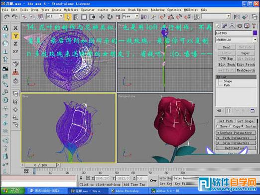 3dmax玫瑰花模型 制作讲解