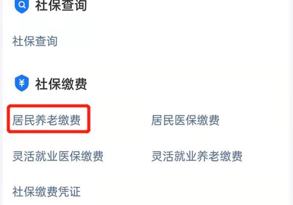 手机上可以交养老保险吗?怎么交
