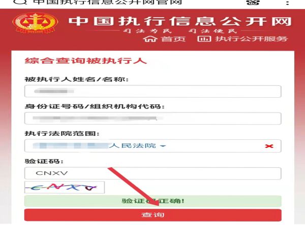 中国执行信息网怎么查