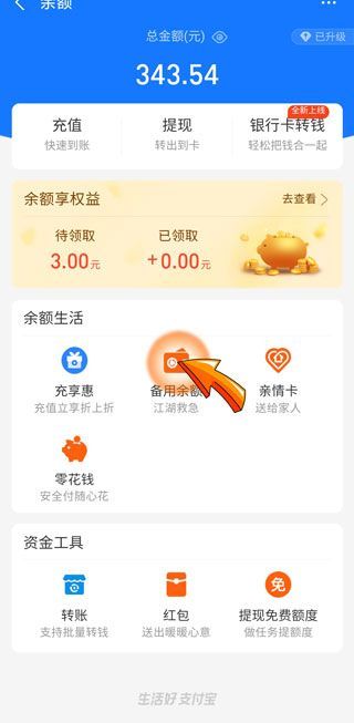 为什么余额里备用金没有