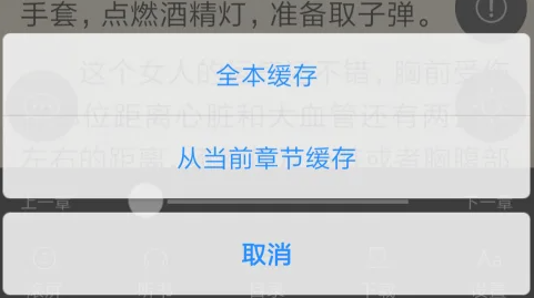 笔趣阁怎么下载小说