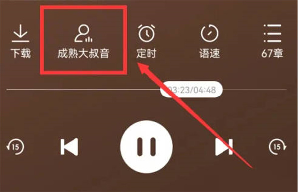 番茄畅听怎么改变声音